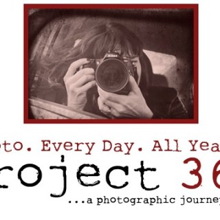 2013 Year in&nbsp;Review