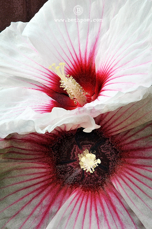 DSC_0838.web