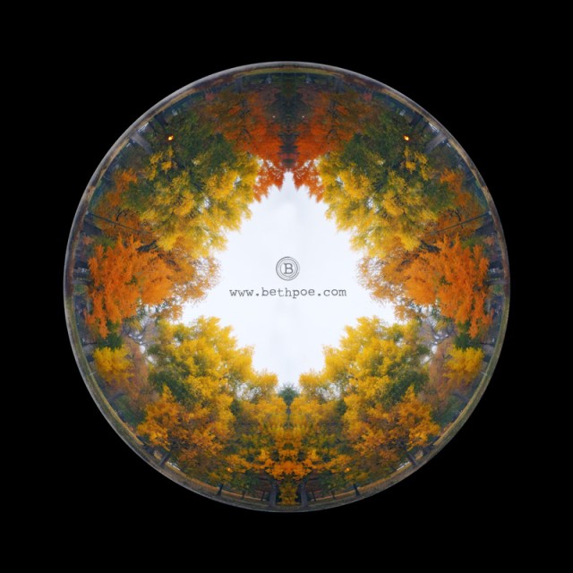 Fall Looking Glass.web