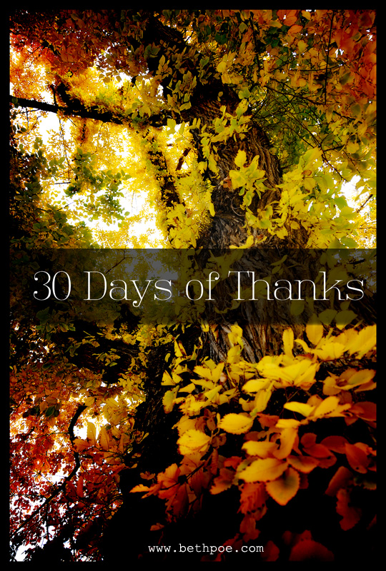 30 Days of Thanks.web