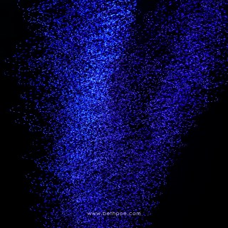 JAN 11 :&nbsp;11/365