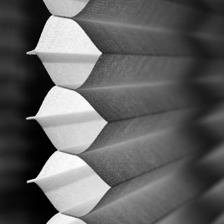 JAN 17 :&nbsp;17/365