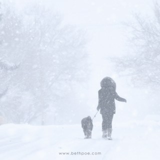 JAN 21 ::&nbsp;21/365