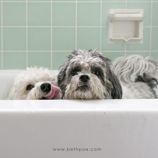 JAN 24 :&nbsp;24/365