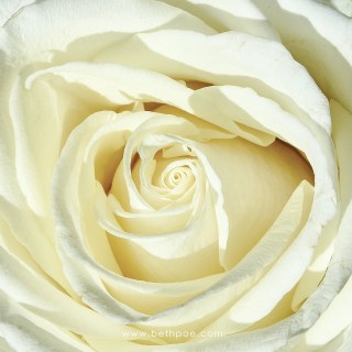 JAN 29 :&nbsp;29/365