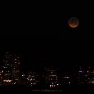 JAN 31 :&nbsp;31/365