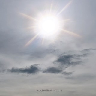 JAN 19 :&nbsp;19/365