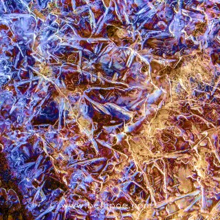 JAN 23 :&nbsp;23/365