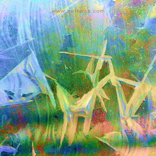 FEB 22 :&nbsp;53/365