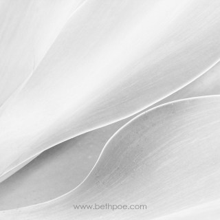 FEB 26 :&nbsp;57/365