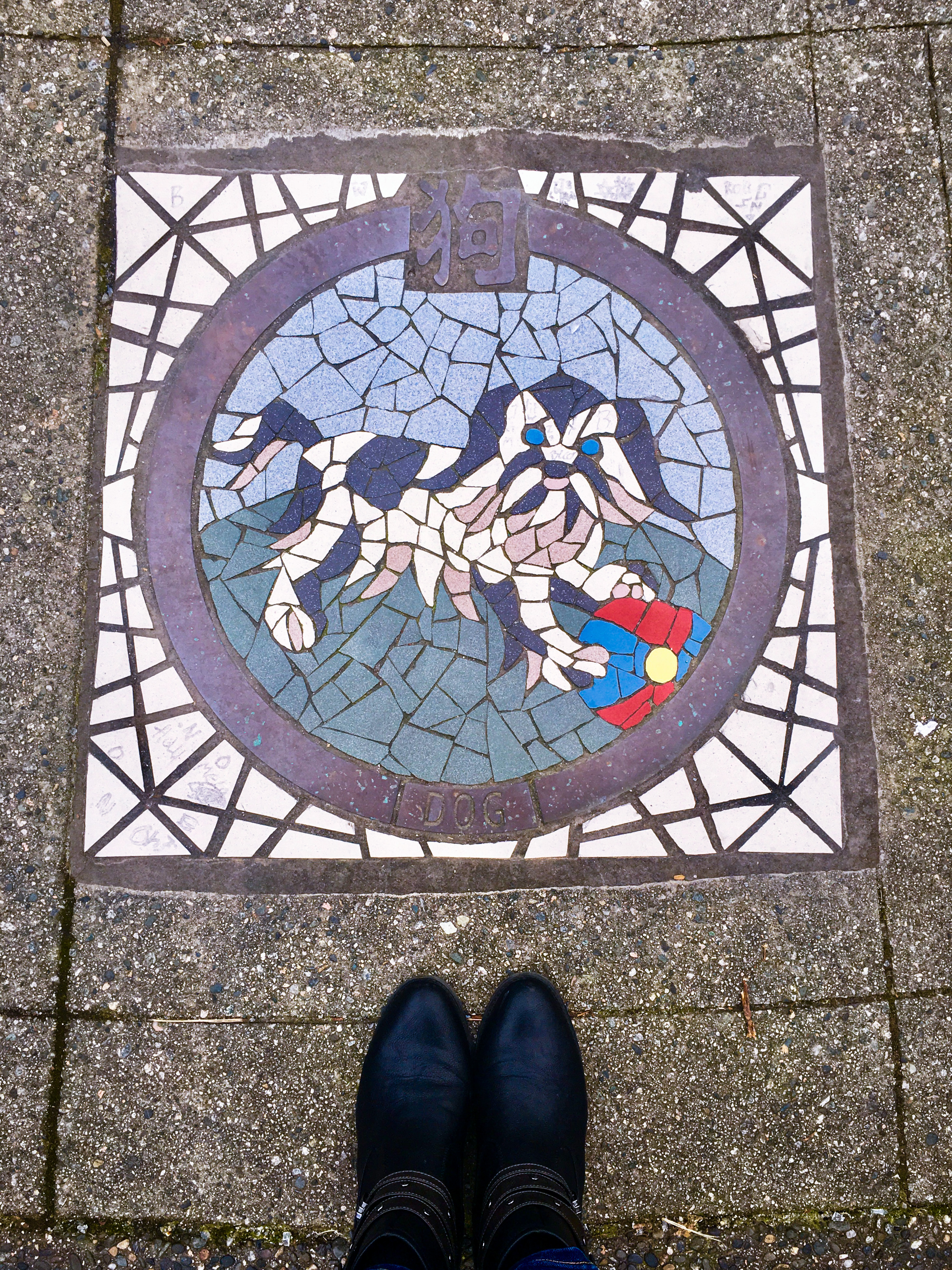 6FB2583C-3EF0-4BB6-A73D-8ADF036157BB