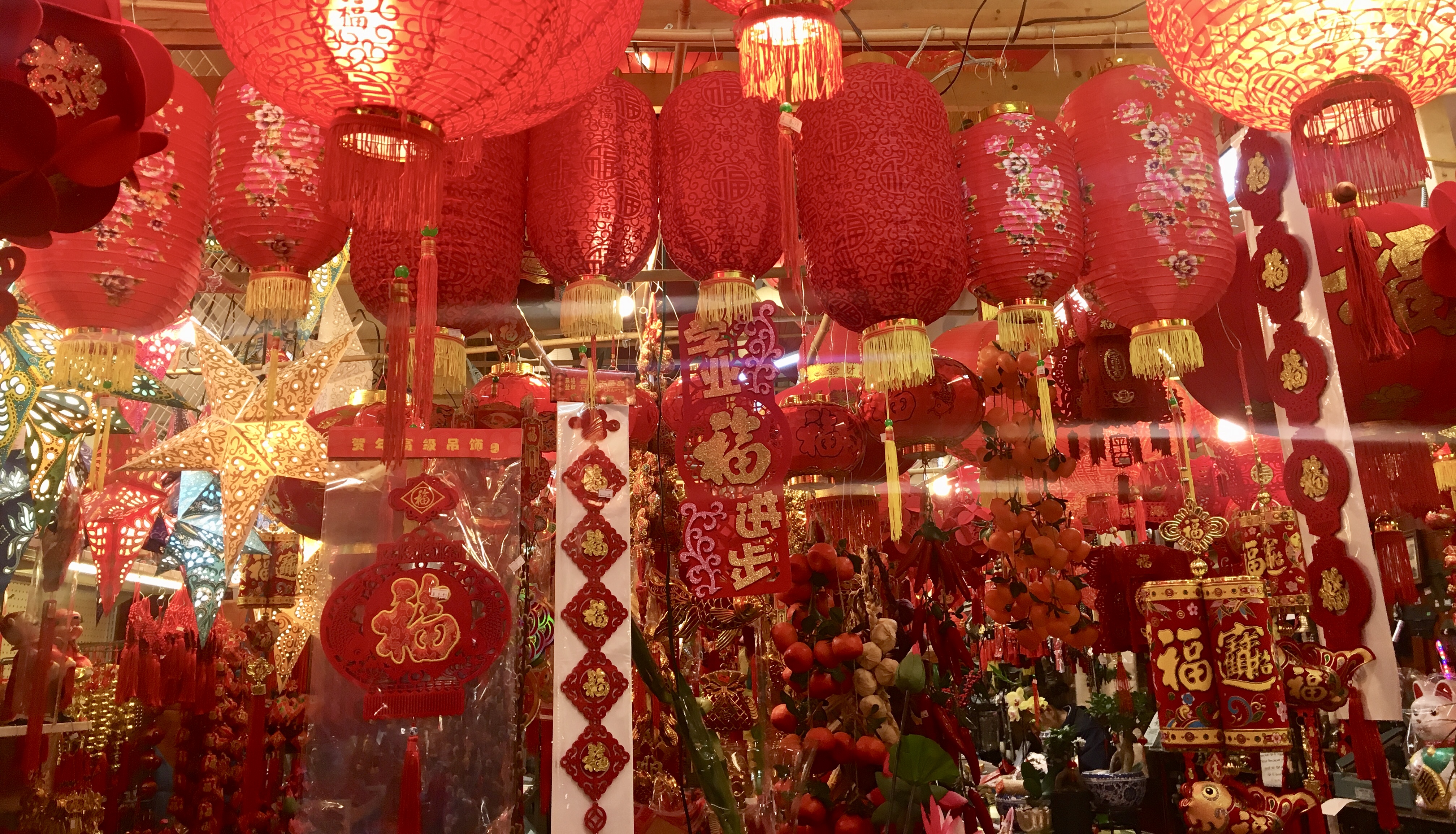 D169E208-629B-4B70-9229-DAA795BE110E