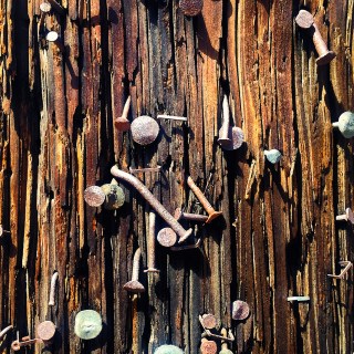 MAR 21 :&nbsp;80/365