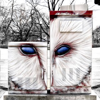 MAR 12 :&nbsp;71/365