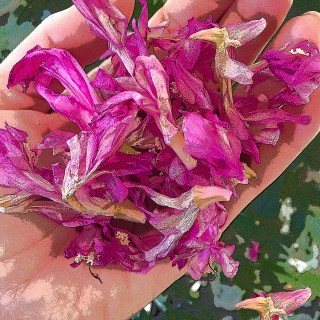 MAR 13 :&nbsp;72/365