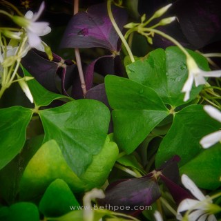 MAR 14 :&nbsp;73/365