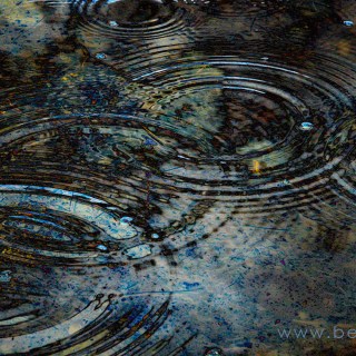 MAR 19 :&nbsp;78/365