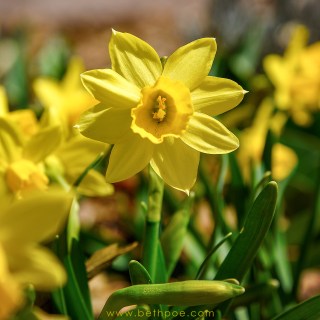 MAR 22 :&nbsp;81/365