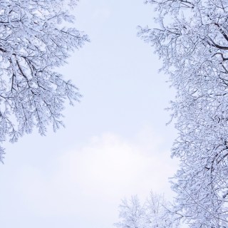 MAR 27 :&nbsp;86/365