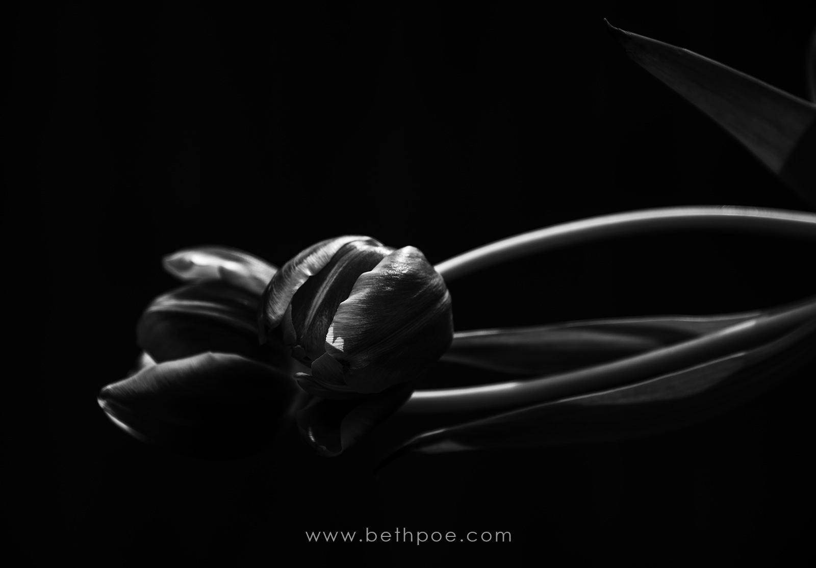 2018-03-28.2-Edit.web