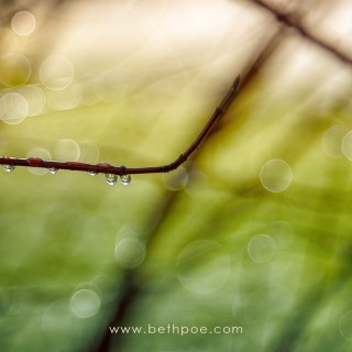 MAR 29 :&nbsp;88/365