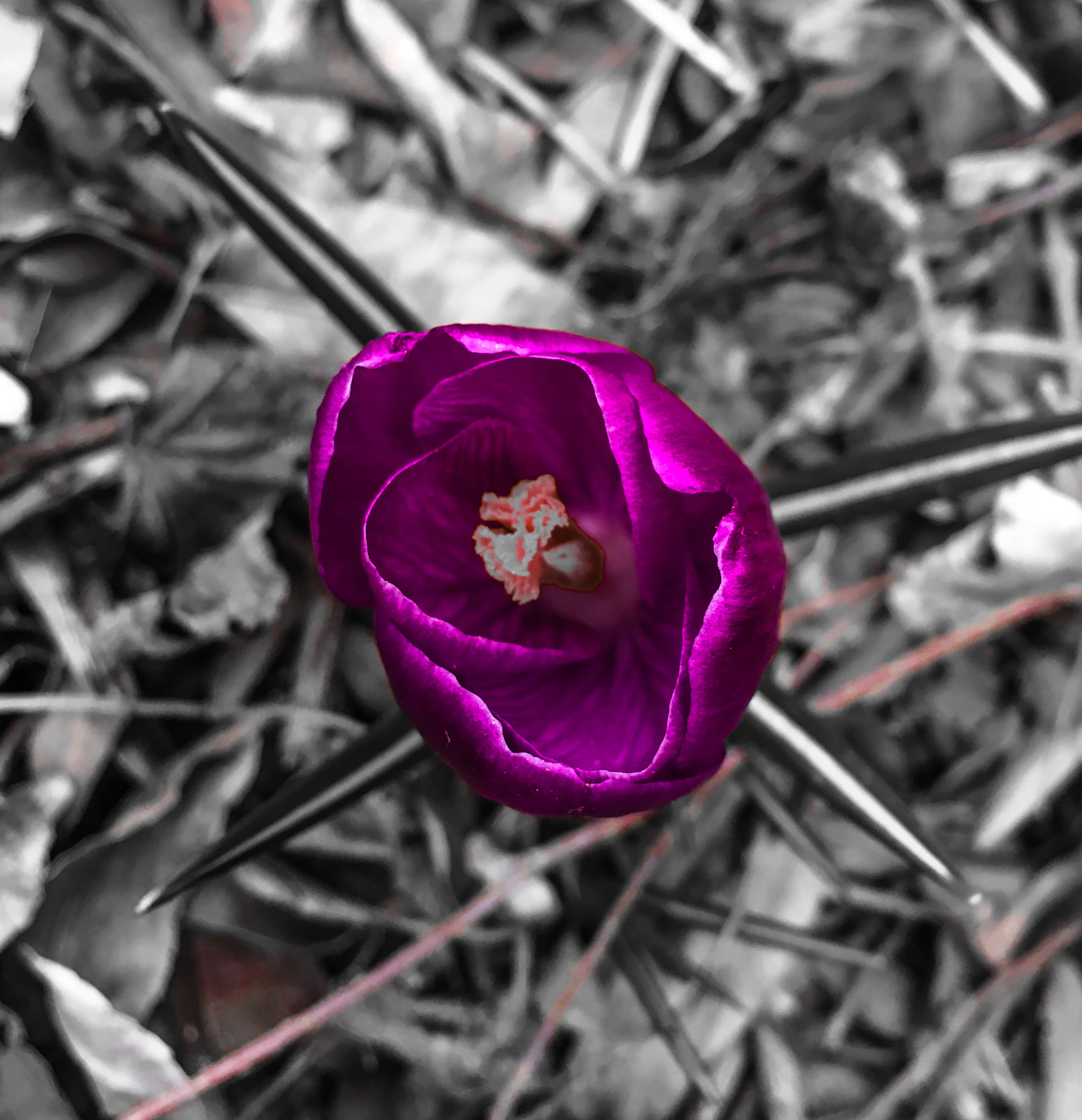 68C40065-991C-4FA8-802E-C5248F18C551