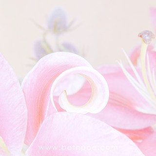 APR 10 :&nbsp;100/365