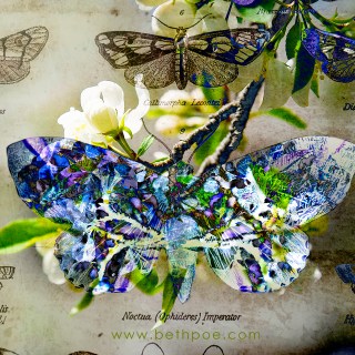 APR 11 :&nbsp;101/365