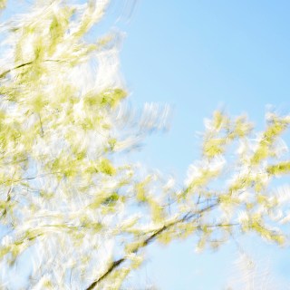 APR 17 :&nbsp;107/365