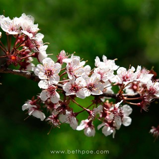 APR 18 :&nbsp;108/365