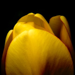 APR 19 :&nbsp;109/365