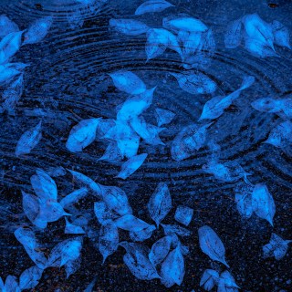 APR 21 :&nbsp;111/365