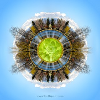 APR 22 :&nbsp;112/365