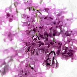 APR 23 :&nbsp;113/365