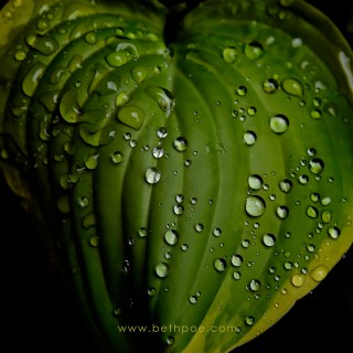 APR 24 :&nbsp;114/365