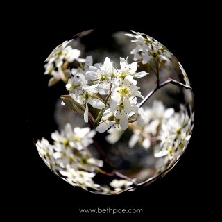 APR 25 :&nbsp;115/365