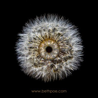 APR 28 :&nbsp;118/365