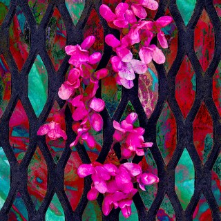 APR 29 :&nbsp;119/365