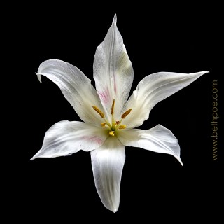 APR 30 :&nbsp;120/365