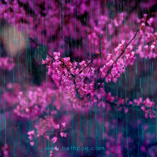 MAY 3 :&nbsp;123/365