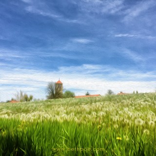 MAY 6 :&nbsp;126/365