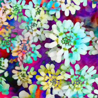 MAY 7 :&nbsp;127/365