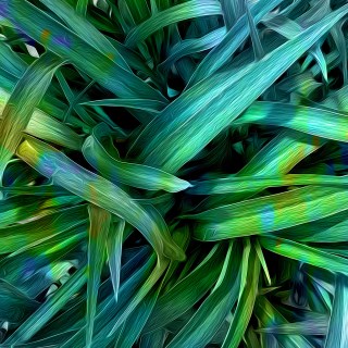 MAY 9 :&nbsp;129/365