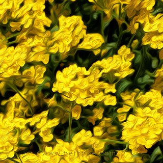 MAY 10 :&nbsp;130/365