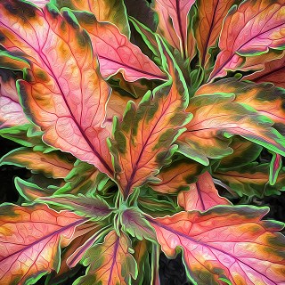 MAY 12 :&nbsp;132/365