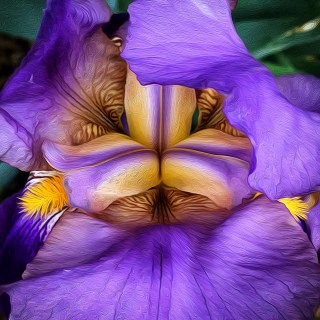 MAY 13 :&nbsp;133/365