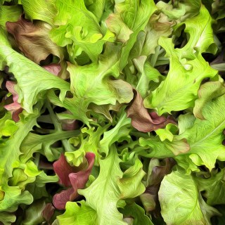 MAY 17 :&nbsp;137/365