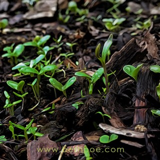 MAY 19 :&nbsp;139/365