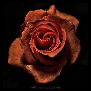 MAY 21 :&nbsp;141/365