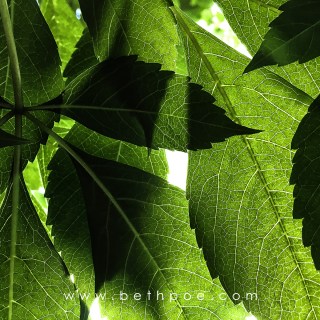 MAY 25 :&nbsp;145/365